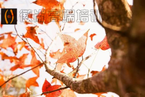 六安哪家摄影培训好?专业的摄影师需要具备哪些能力? 六安哪家摄影培训好?专业的摄影师需要具备哪些能力?