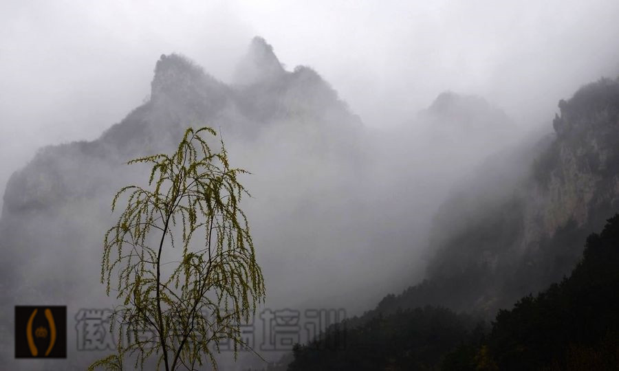 雾天摄影小技巧，让你在雾天时拍出奇特仙境照片