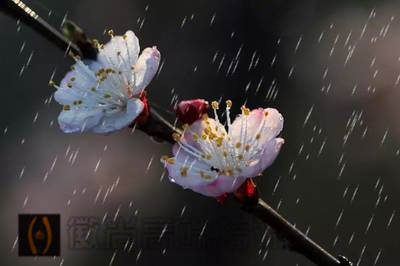 学雨天摄影技巧，带你玩转整个雨季