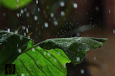 学雨天摄影技巧，带你玩转整个雨季