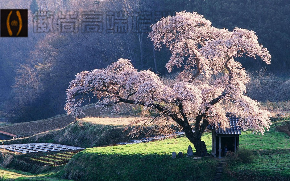 四种简单摄影技巧，拍出大片的感觉